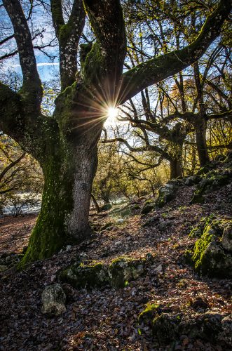 Paraje Natural de la Nava (Cabra)