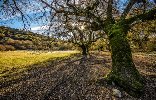 Paraje Natural de la Nava (Cabra)