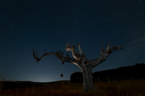COORDENAS LOCALIZIÓN: 37.502364, -4.370171