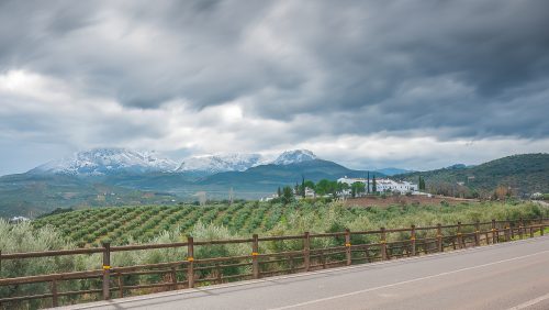 Carretera Zagrilla Alta a Esparragal