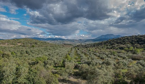 Salarejo, Carretera Zagrilla Alta a Carcabuey