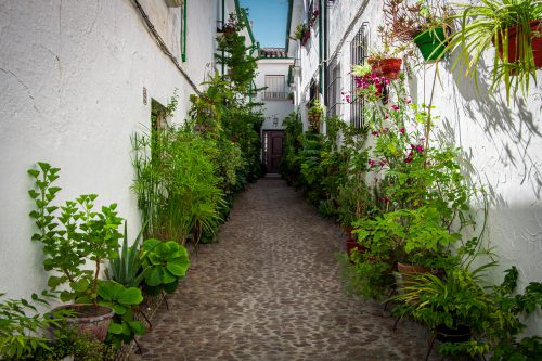 Priego de Córdoba