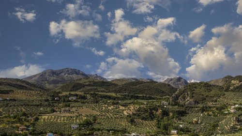Genilla