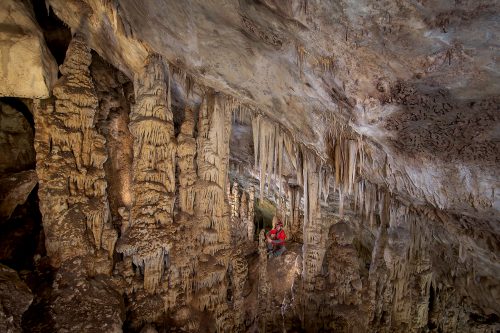 Cueva de los Murcielagos/ Zuheros