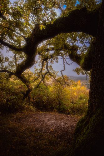 Sendero Triano, Santa Rita centro de visitantes
