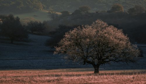 La Nava ( Sierra de Cabra)