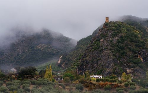 Torre del canuto