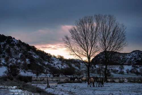Poljé de la Nava de Cabra