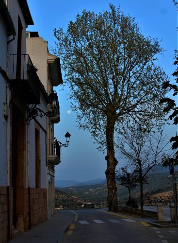 Paseo Colombia con dirección a balcon Adarve