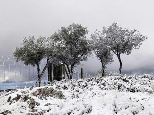 Pico del Albayate 37°25'08.8"N 4°06'49.1"W
