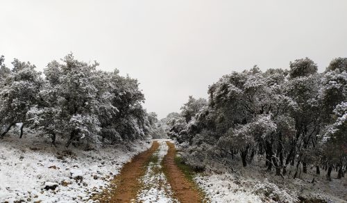 Sierra del Albayate 37°25'08.8"N 4°06'49.1"W