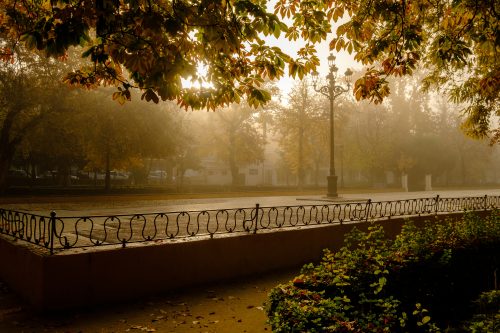 Paseo Alcántara Romero, en Cabra.