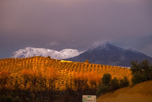 Carretera hacia rute