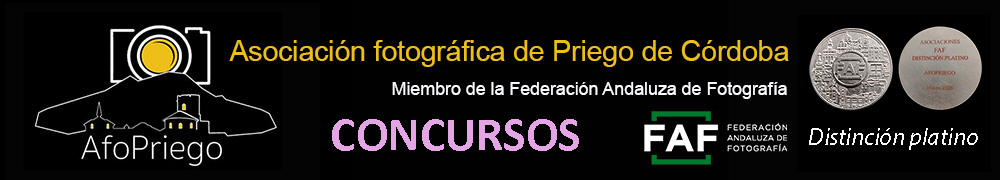 Logo en negro Concursos medalla Platino